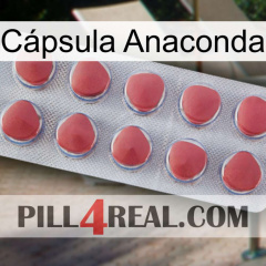 Cápsula Anaconda 18